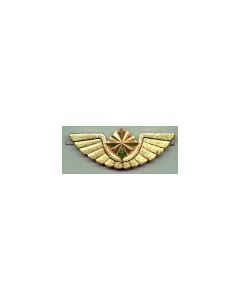 Belarus Gold Upper Visor Cap Wing