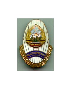 An Attractive Romanian Badge Of The MILITARY ACADEMY