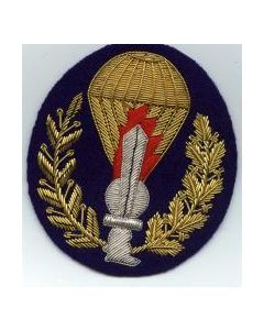 Italian Officer Ranks Parachute Qualification Badge On Blue